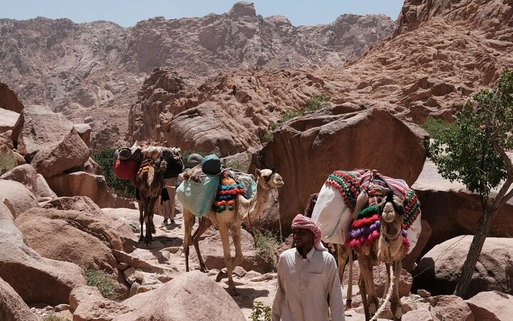 Bedouin village day trip