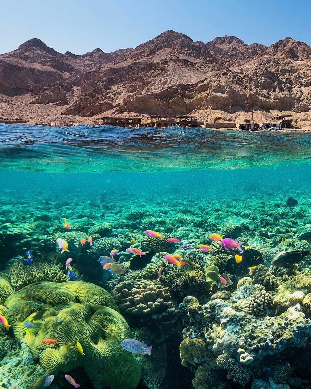 Dahab
