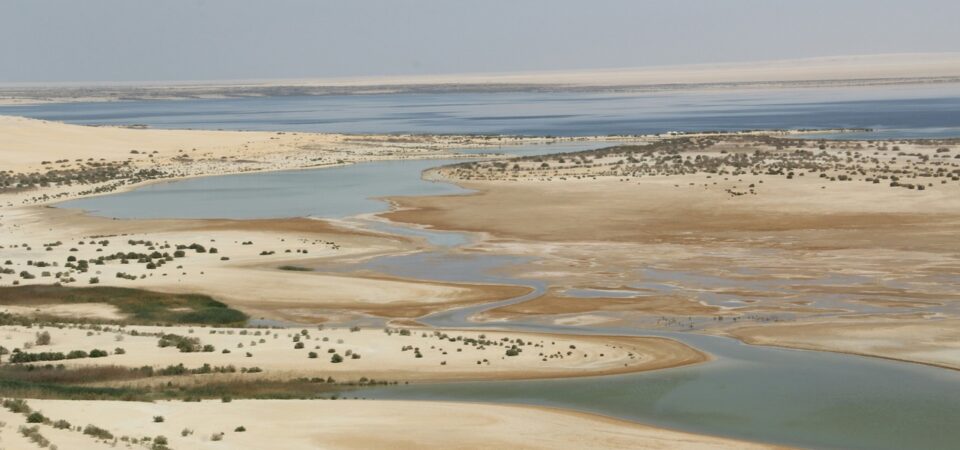bahariya oasis day trip
