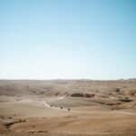 Gallery Thumbnail 1