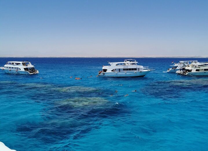 Turtles Bay Elite VIP Snorkeling Experience - Code TBEVE 1