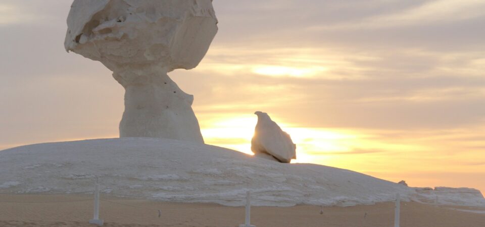 white desert