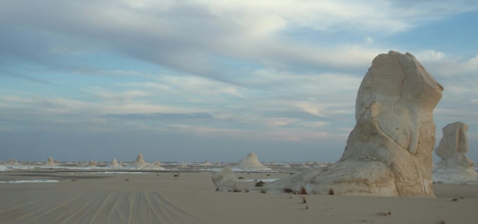 white desert tour