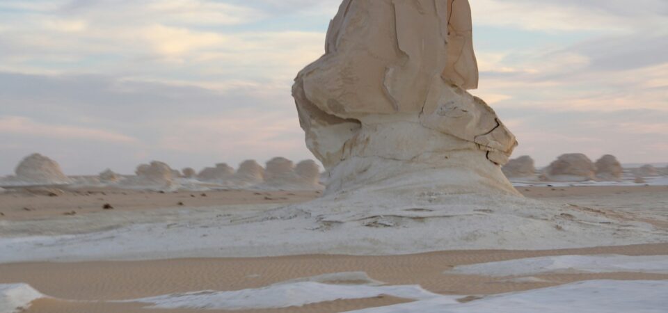 white desert tour
