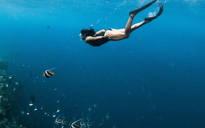 snorkeling and diving day trip