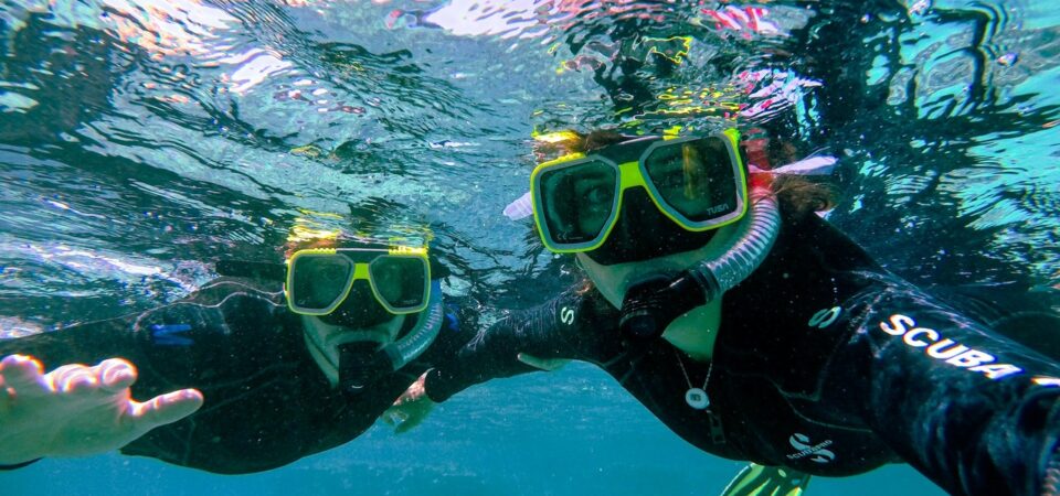 snorkeling and diving day trip