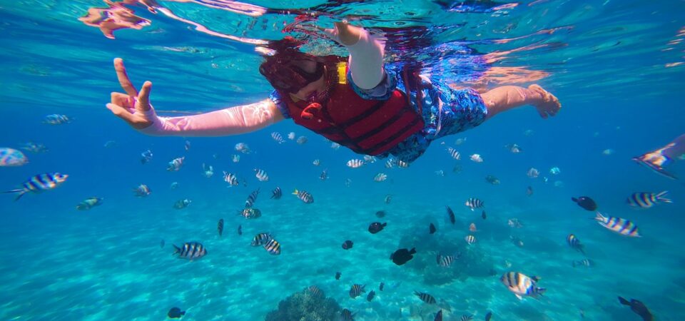 snorkeling and diving day trip