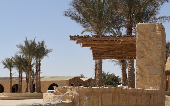 fayoum oasis day trip