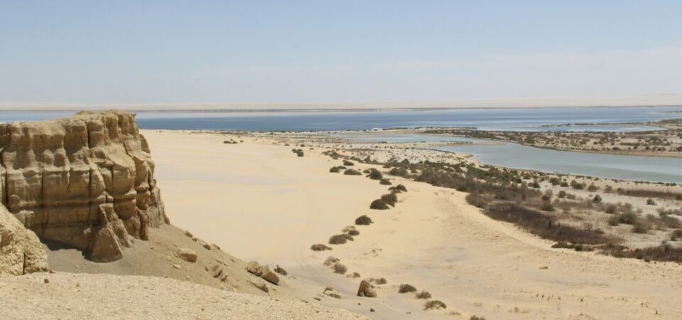 fayoum oasis day trip