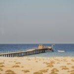 Gallery Thumbnail 2