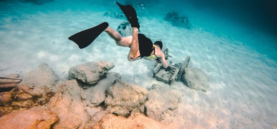 snorkeling day trip