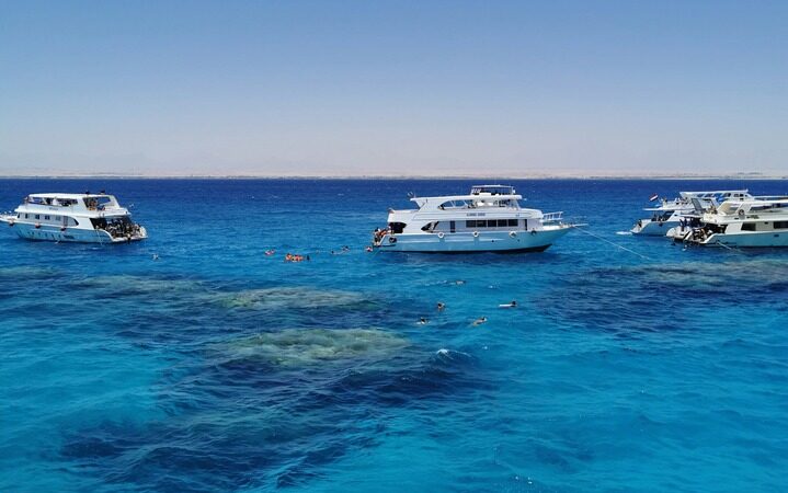 snorkeling day trip