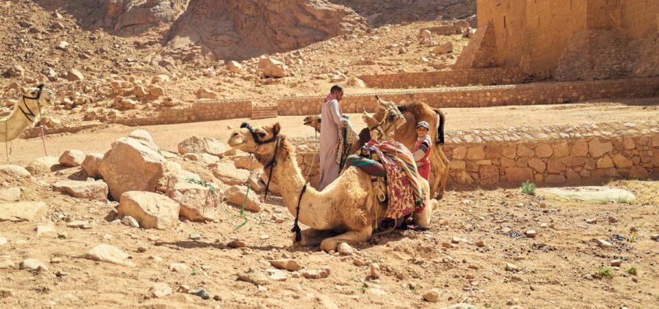 st catherine monastery day trip